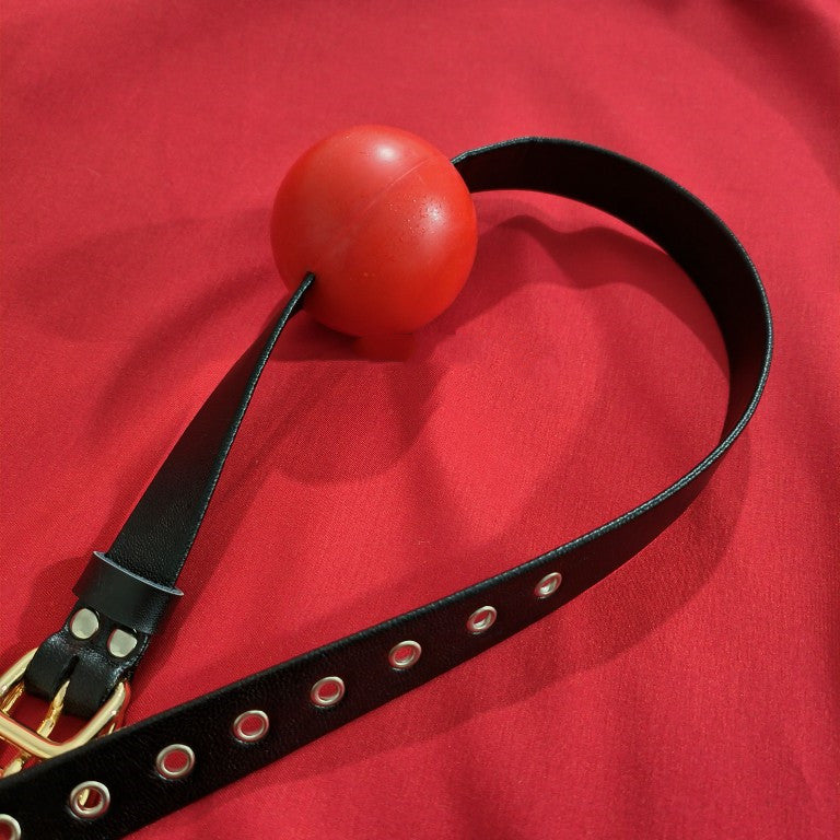 Gag Proof Mouth Collar Toy