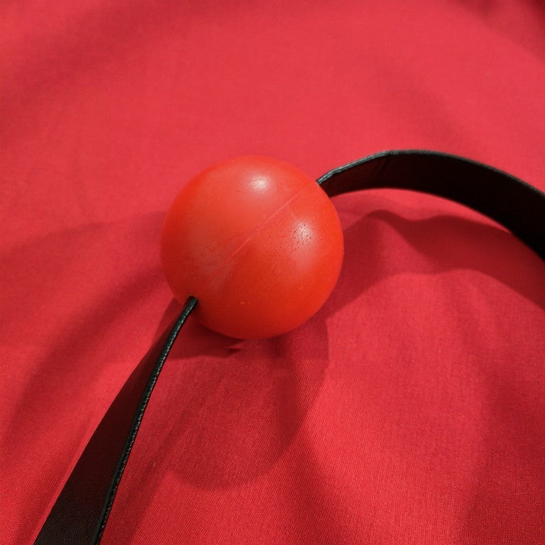 Gag Proof Mouth Collar Toy